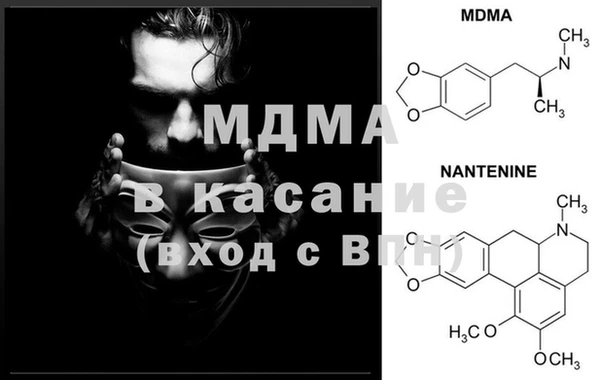 прущие грибы Абаза