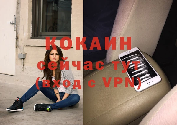 прущие грибы Абаза