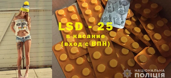 прущие грибы Абаза