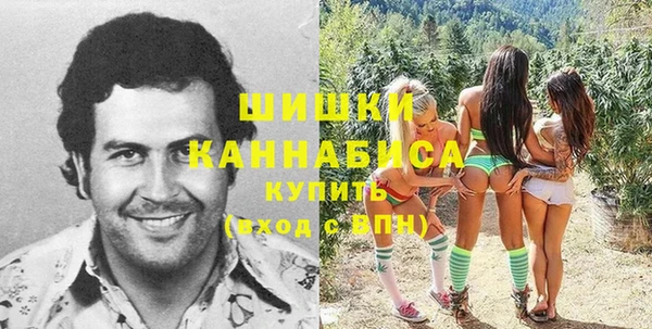 прущие грибы Абаза