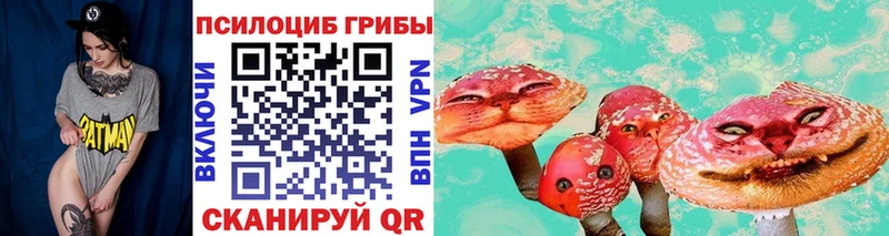 продажа наркотиков  Бирюсинск  Галлюциногенные грибы Psilocybe 